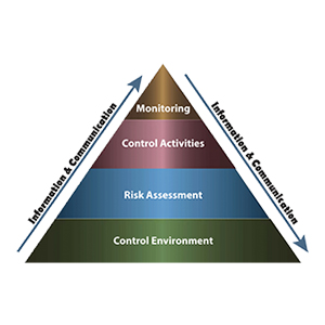 Company Controls